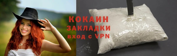 дживик Абаза