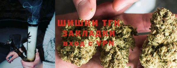 дживик Абаза