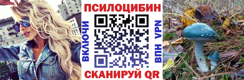 Псилоцибиновые грибы Psilocybe  даркнет сайт  Энем 